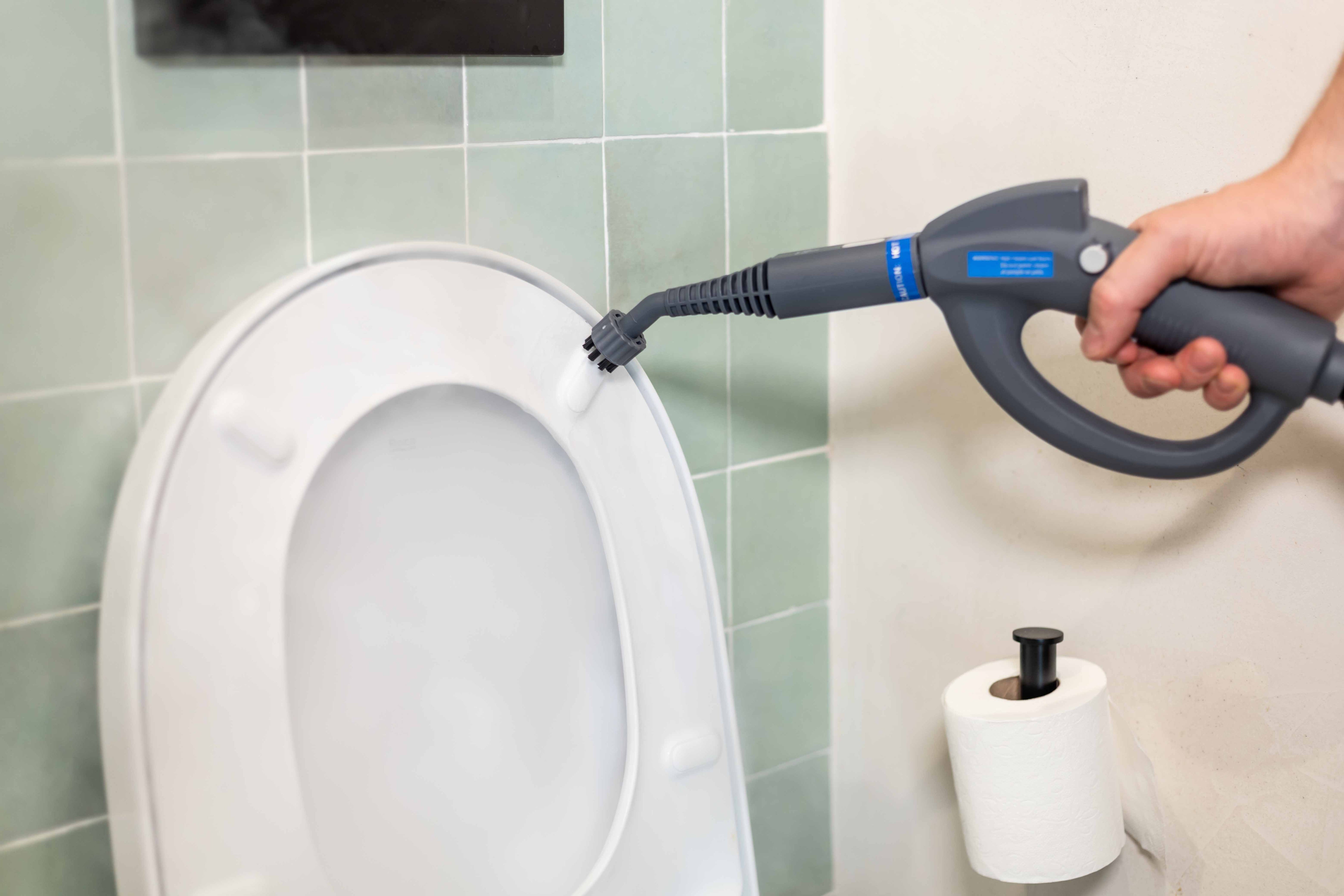 Set aggiuntivo di 7 spazzole TS1